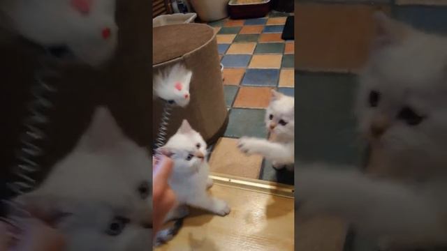 Голодные игры смотреть онлайн