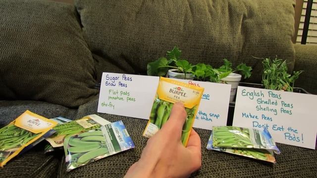 Three Types of Peas/Planting Conditions: Snow or Sugar, Snap, English or Shelling - TRG 2015 смотреть онлайн