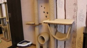 Домики, Игрушки, Игровые Комплексы Для Кошек Своими Руками