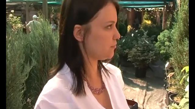 Умелые новости: старые вещи смотреть онлайн