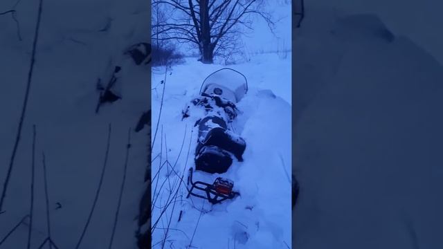 треш на снегоходе тайга смотреть онлайн