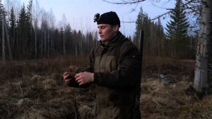 ВЕСЕННЯЯ ОХОТА НА ВАЛЬДШНЕПА : что делать для успеха? Охота. Тяга вальдшнепа. 2022.