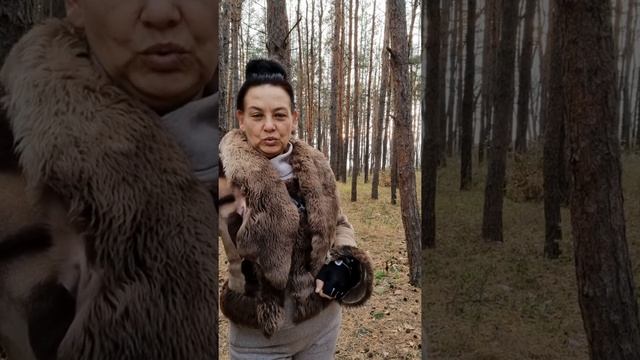 НЮХ, ОБОНЯНИЕ, ВКУС ВЕРНУЛИСЬ смотреть онлайн