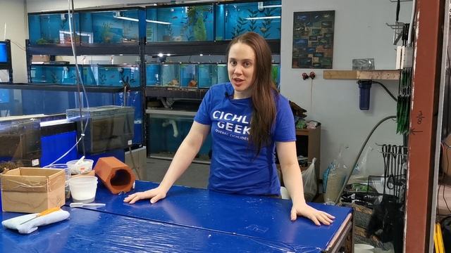 How to Ship Aquarium Fish - Packing for Winter Shipments смотреть онлайн