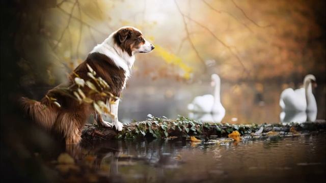 Потоковые стихи "ЧУДЕСА" смотреть онлайн