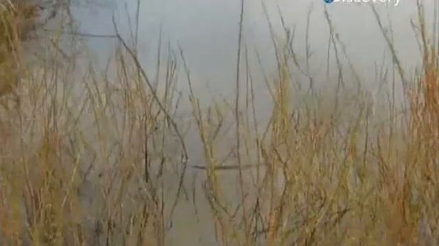 Выжить любой ценой эпизод № 1651 смотреть онлайн