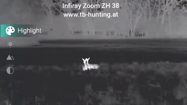 Infiray Zoom ZH 38 смотреть онлайн