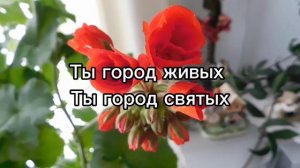 Есть на небе город чудный город Света. Иерусалим.         фонограмма/минус. #христианскиепесни