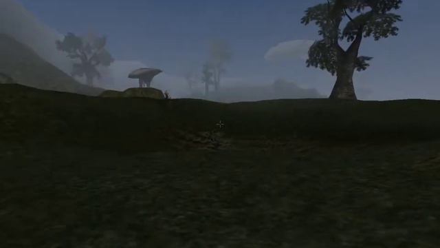 The Elder Scrolls 3 Morrowind Подготовка к зачисте гильдии бойцов от агентов Каммона Тонг