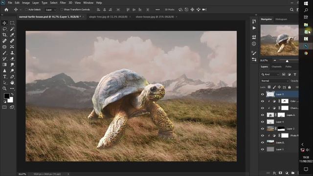 Turtle House ~ Surrealism Photoshop Photo Manipulation смотреть онлайн