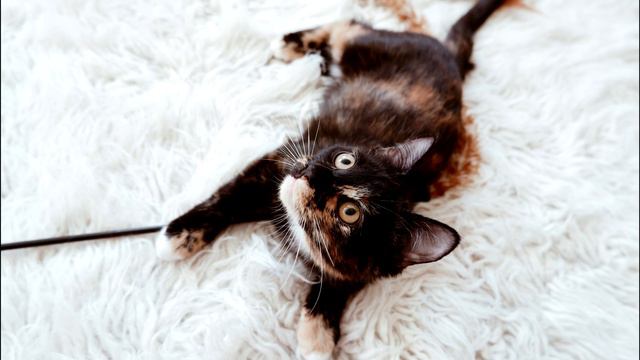 ЛУЧШАЯ Музыка для детей ,развивающая их мышление смотреть онлайн