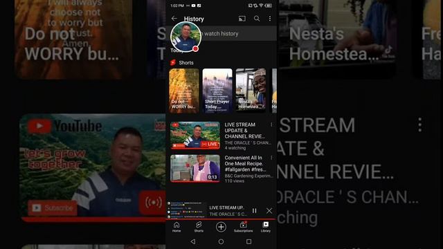LIVE STREAM UPDATE & CHANNEL REVIEW NEWBIES TUTORIALS??❤️? смотреть онлайн