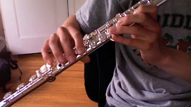 Zelda's Lullaby for Flute (With notes in sidebar) смотреть онлайн
