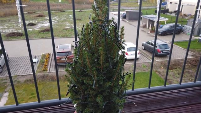 Спонсорство. Впервые пробую и готовлю черную бабку. смотреть онлайн