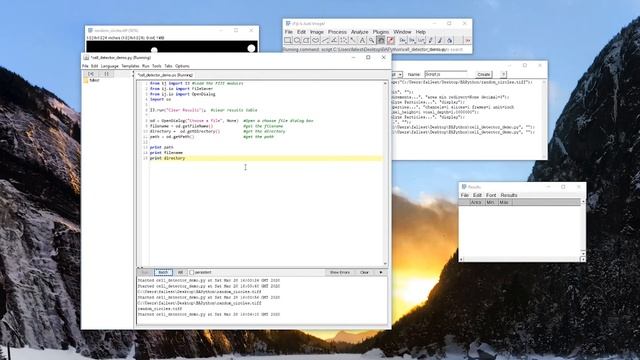BioImage Analysis in Python, Writing Jython Scripts with Macro Recorder смотреть онлайн