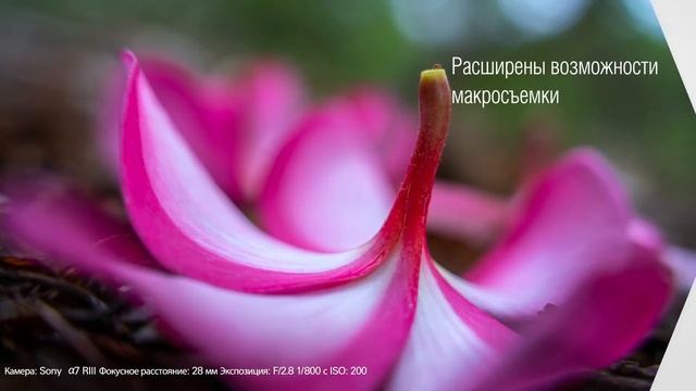 Главная новинка 2021 года: совершенно новый светосильный зум Tamron F/2.8 28-75mm VXD Di III G2! смотреть онлайн