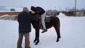 Обучение лошади Казахстан 2021