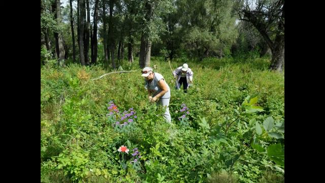 остров Голодный Волгоград смотреть онлайн