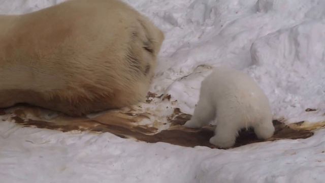 Парфюм для Герды) 19.03.2016 смотреть онлайн