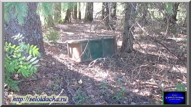 Кошмар на лесном точке. Многокорпусный улей. Пчеловодство для начинающих смотреть онлайн