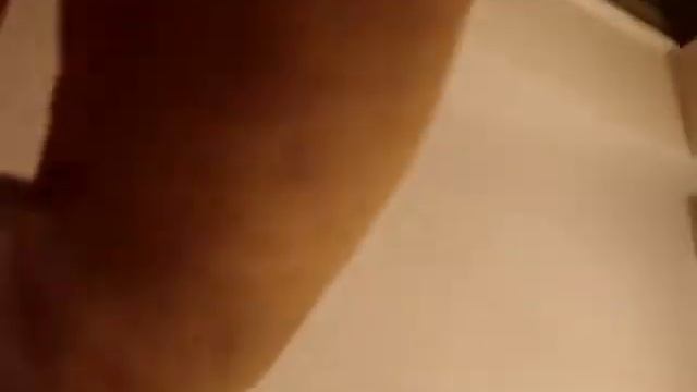 кошка смотрит телевизор смотреть онлайн