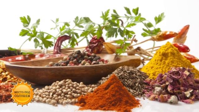 Почему лавровый лист нельзя оставлять в готовом блюде? (03.12.15) смотреть онлайн