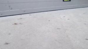 ПОЛУСУХАЯ vs КЛАССИЧЕСКАЯ стяжка пола