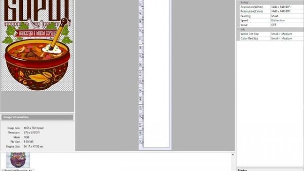 Acrorip или dtg rip. Основы работы, настройка.