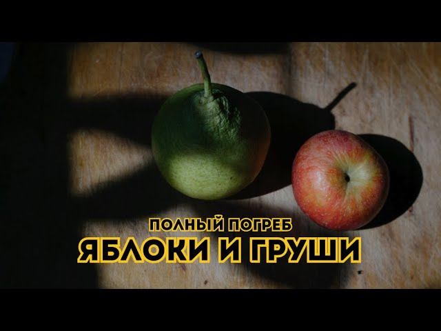 Яблоки и груши. Полный погреб // Выпуск 10 смотреть онлайн
