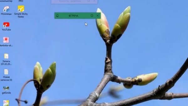 МОЯ  НАПОМИНАЛКА. Sticky Notes  - приложение для новичков  так и для занятых людей