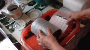 Сеем томаты в улитку для открытого грунта.  Как посеять томаты без пекировки