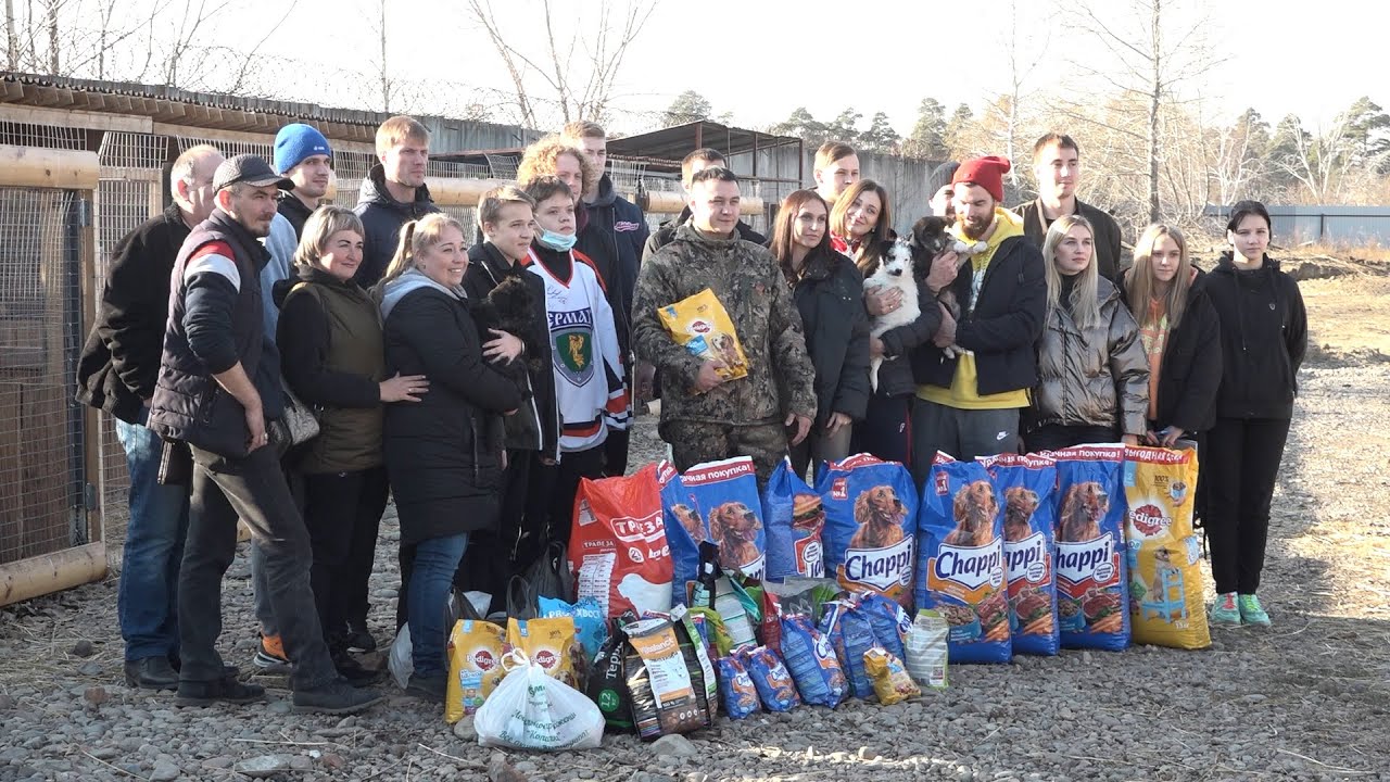 «Ермак» вместе с болельщиками помогли приюту смотреть онлайн