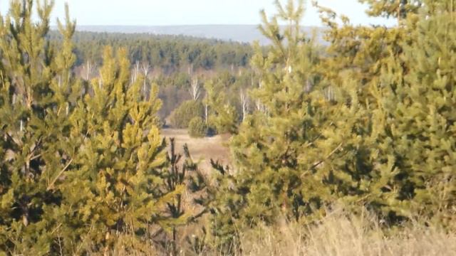 Сурский край, село Чаадаевка. Красотище !!! смотреть онлайн