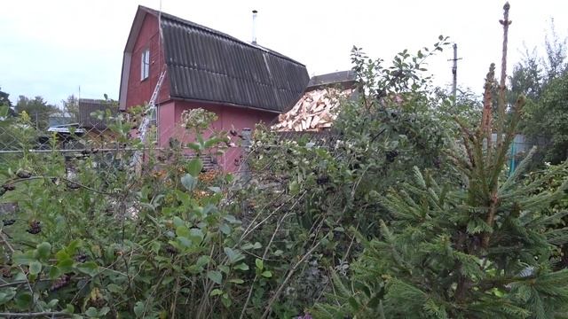 ВЛОГ Женя Цербер | ШАРОВАЯ МОЛНИЯ? 25.08.2017 смотреть онлайн