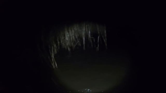 Ловля налима в ноябре