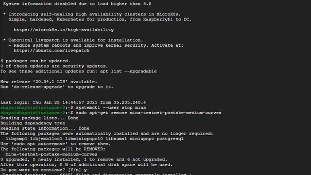 My Mina Testworld Mini Vlog (updating my node to the latest version) смотреть онлайн