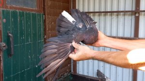 Осень - с юга на север.