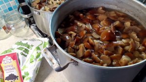 Vlog #Грибы без уксуса просто бомба.