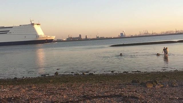 Море море, белый пороход и страшный зверь Чубака 😂 смотреть онлайн