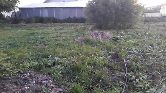 Выкосили огород/Болтаю смотреть онлайн