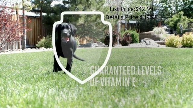 Eukanuba Puppy Small Breed Dry Dog Food? смотреть онлайн