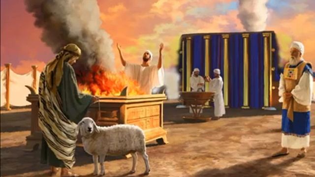 24. Левит 1:1 - 5:19 (Виталий Олийник) - Виды жертвоприношений в Библии обзор смотреть онлайн