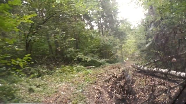 ДЕД ПОКАЗАЛ СЕКРЕТНОЕ МЕСТО! смотреть онлайн