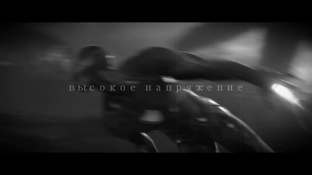 тони старк | хватит (элли на маковом поле)