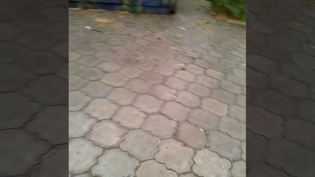 Ломаем планшет ?? смотреть онлайн