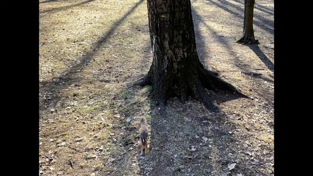 Удельный парк апрель 2019+соляная пещера на Фермское смотреть онлайн