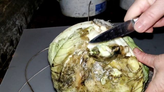 Мастерские Ремонта