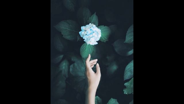 КРАЙОН ЦЕЛИТЕЛЬНАЯ СРЕДА "СКРЫТЫЕ ВЕЩИ", КОТОРЫЕ У ВСЕХ НА ВИДУ" Ч. 4. Настройка на исцеляющий сон смотреть онлайн