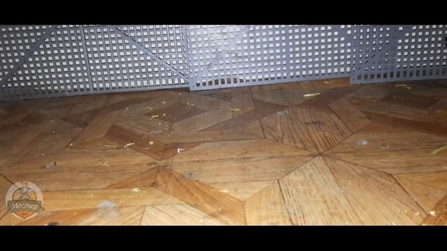 как сделать ловушку для птиц смотреть онлайн