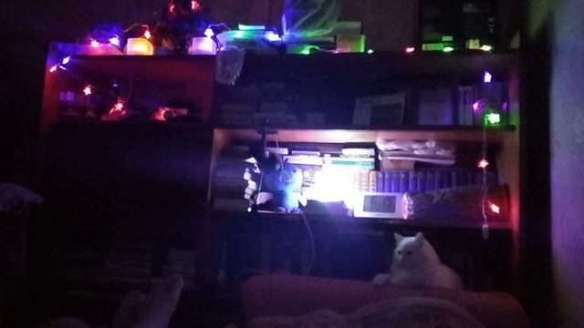 VID_20181229_182107 смотреть онлайн